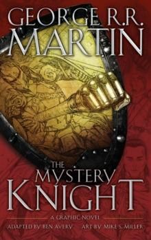 Bokomslag: The mystery knight