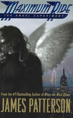 Bokomslag: The angel experiment