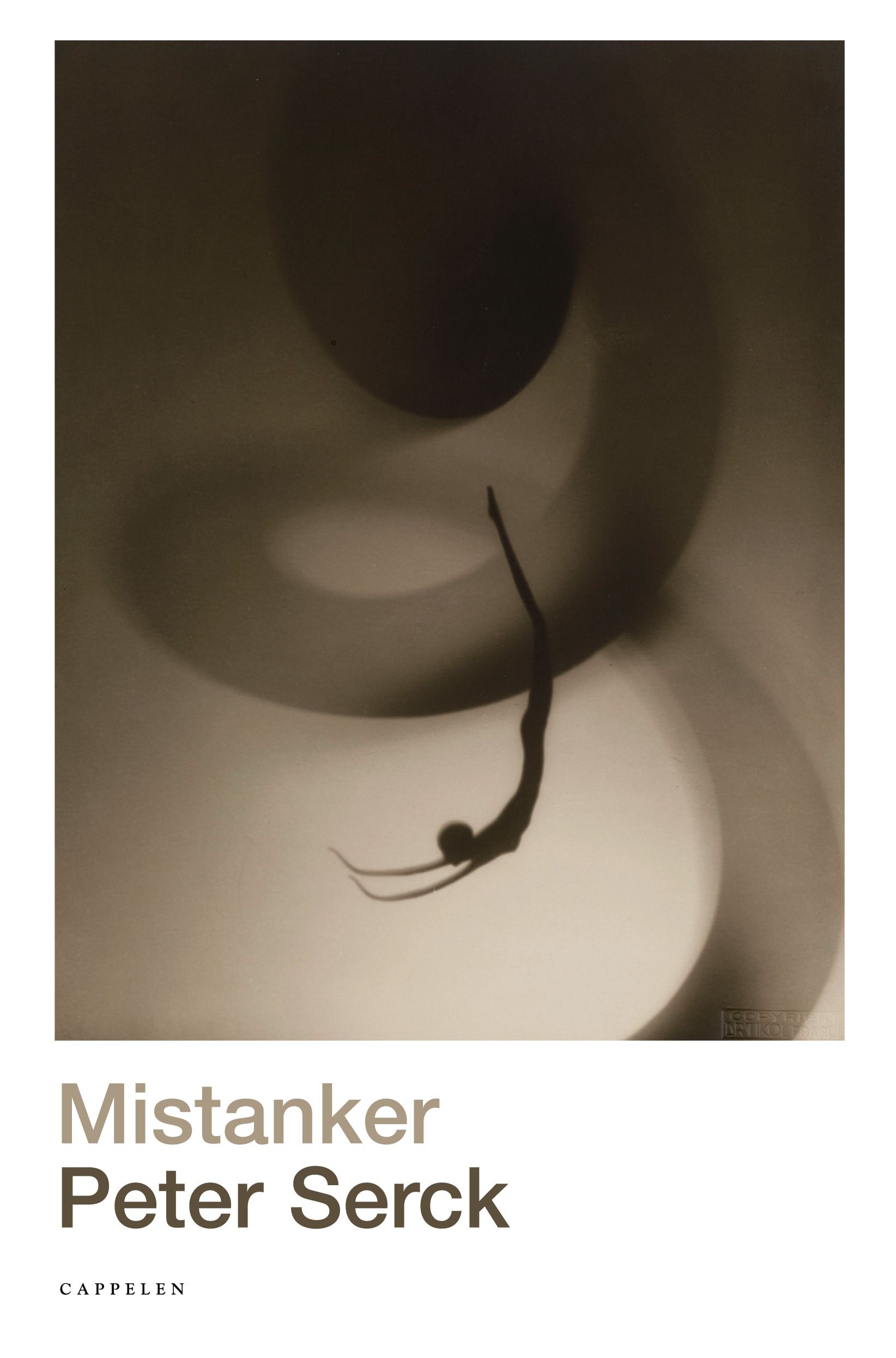 Bokomslag: Mistanker