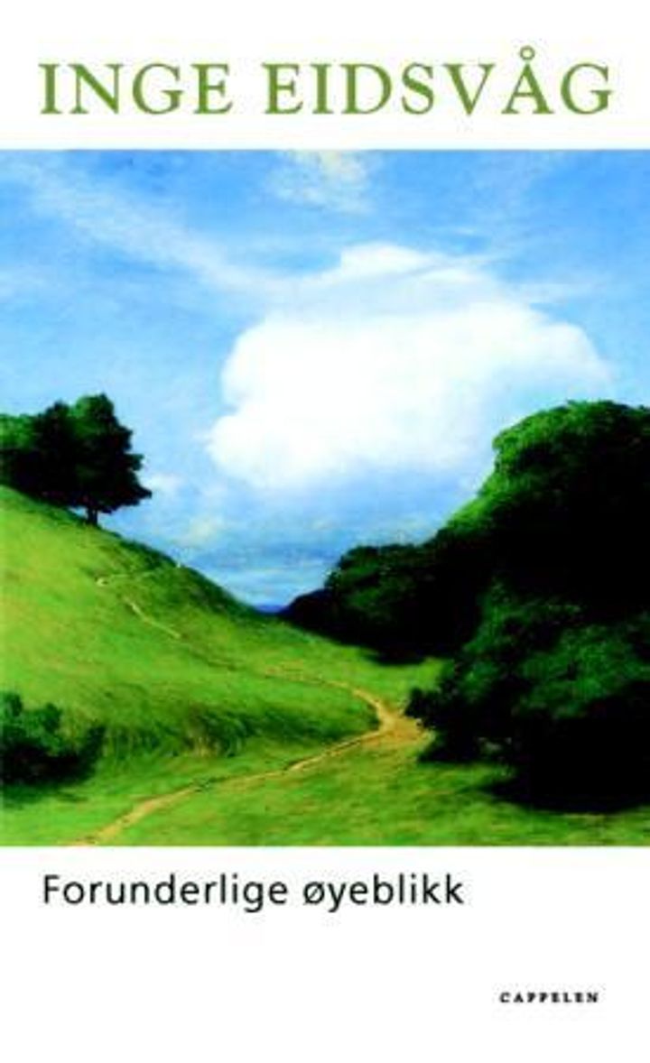 bokomslag: Forunderlige øyeblikk