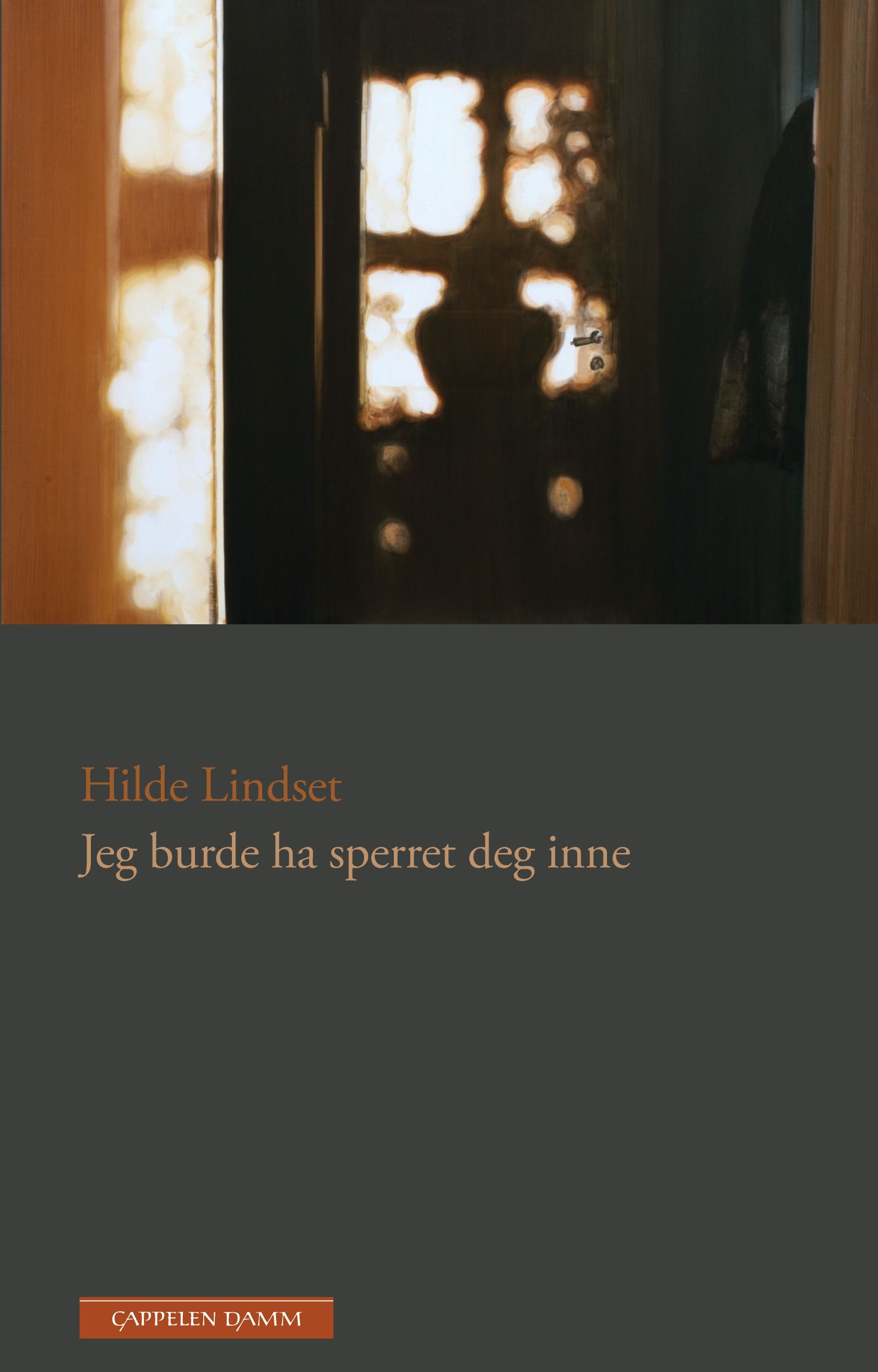 Jeg burde ha sperret deg inne