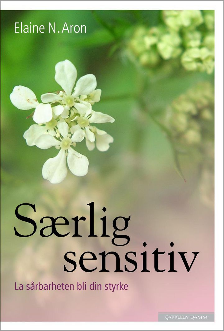 bokomslag: Særlig sensitiv : la sårbarheten bli din styrke