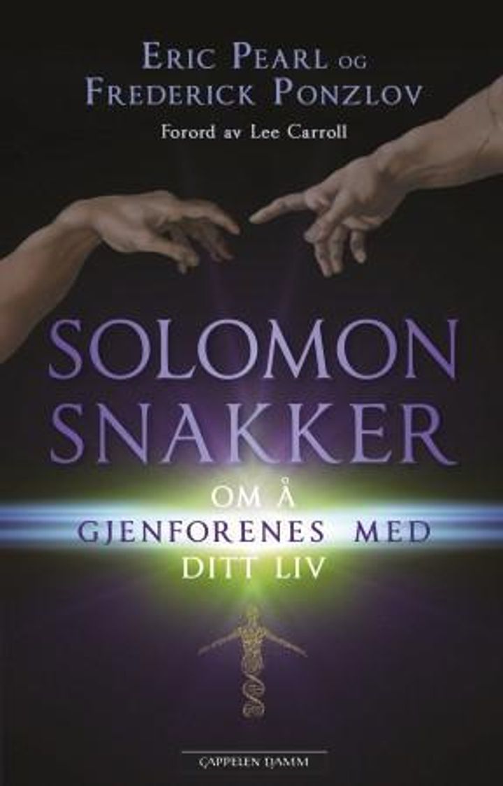bokomslag: Solomon snakker : om å gjenforenes med ditt liv