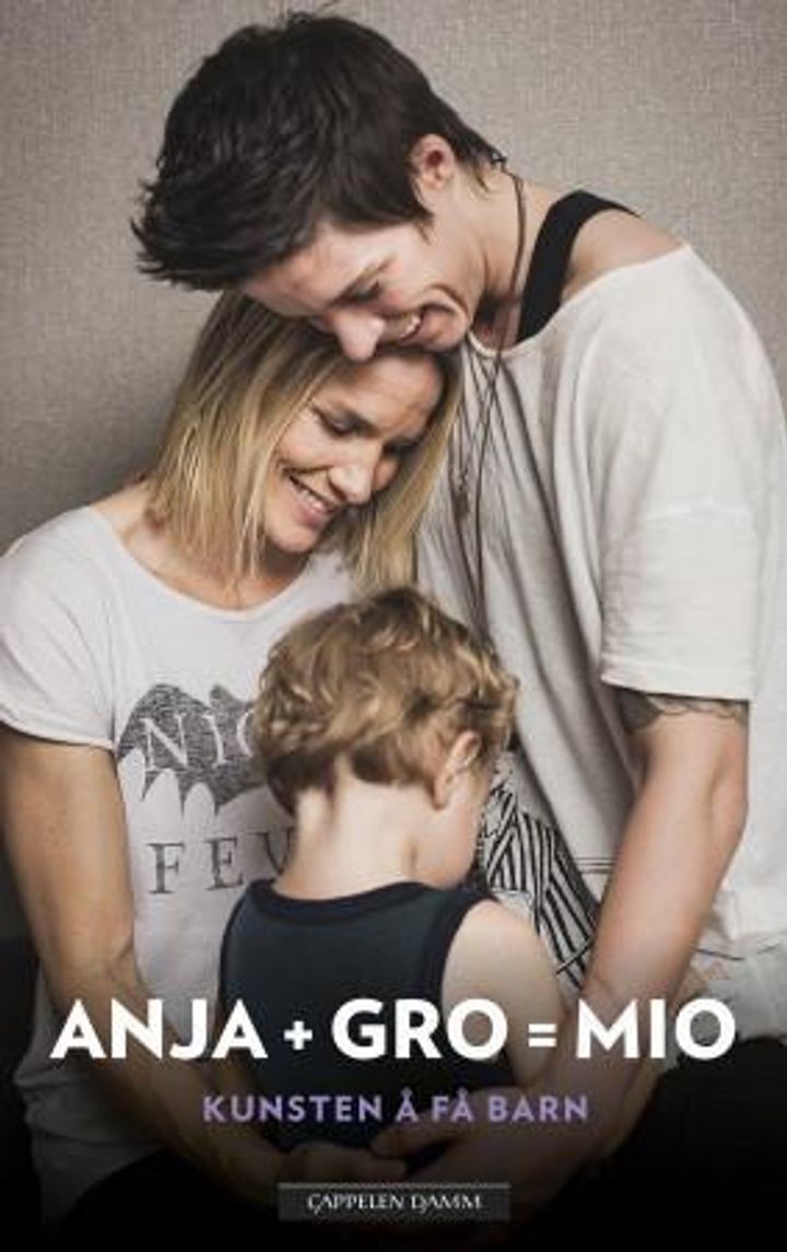 bokomslag: Anja + Gro : kunsten å få barn = Mio