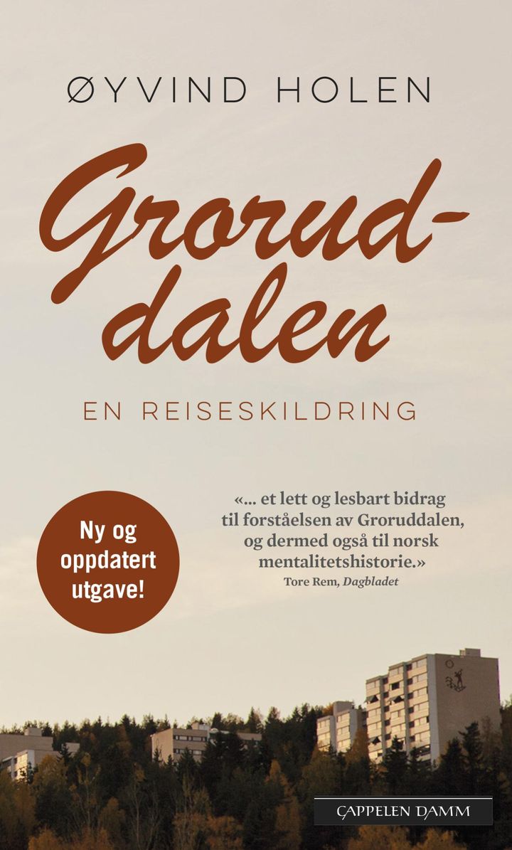 bokomslag: Groruddalen : en reiseskildring