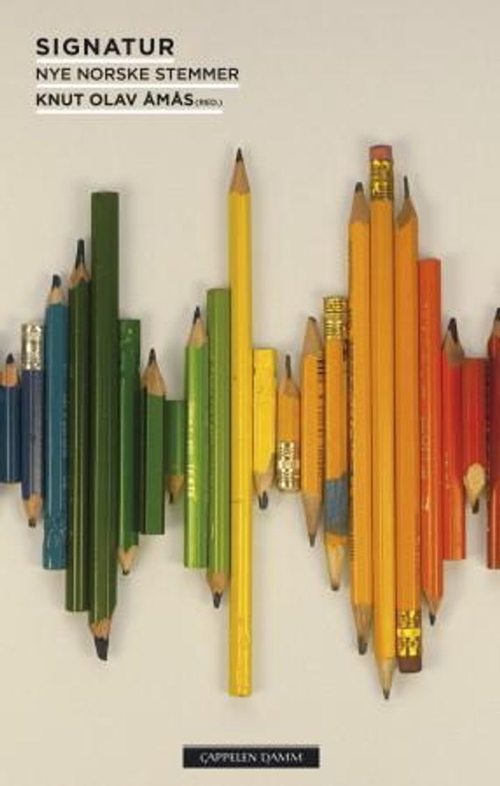 bokomslag: Signatur : nye norske stemmer