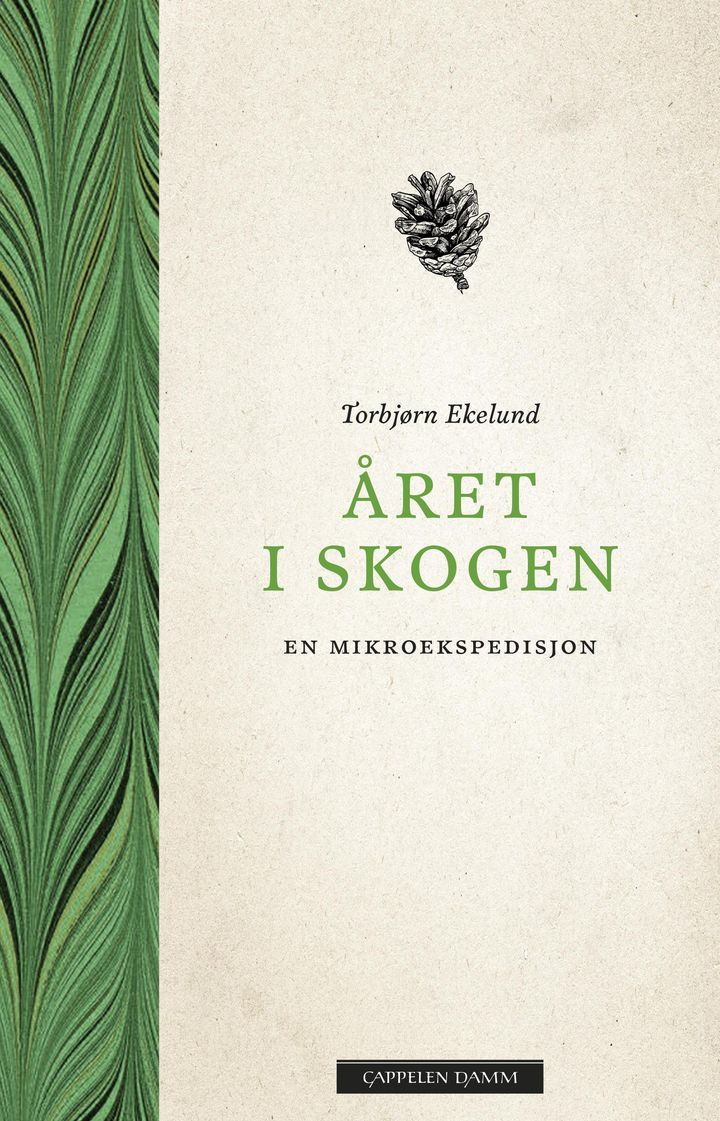 bokomslag: Året i skogen : en mikroekspedisjon