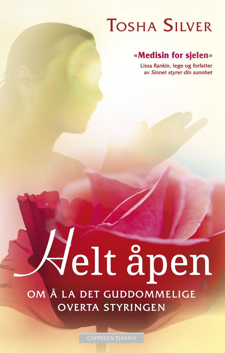 bokomslag: Helt åpen : om å la det guddommelige overta styringen