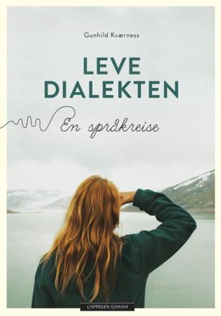 bokomslag: Leve dialekten : en språkreise