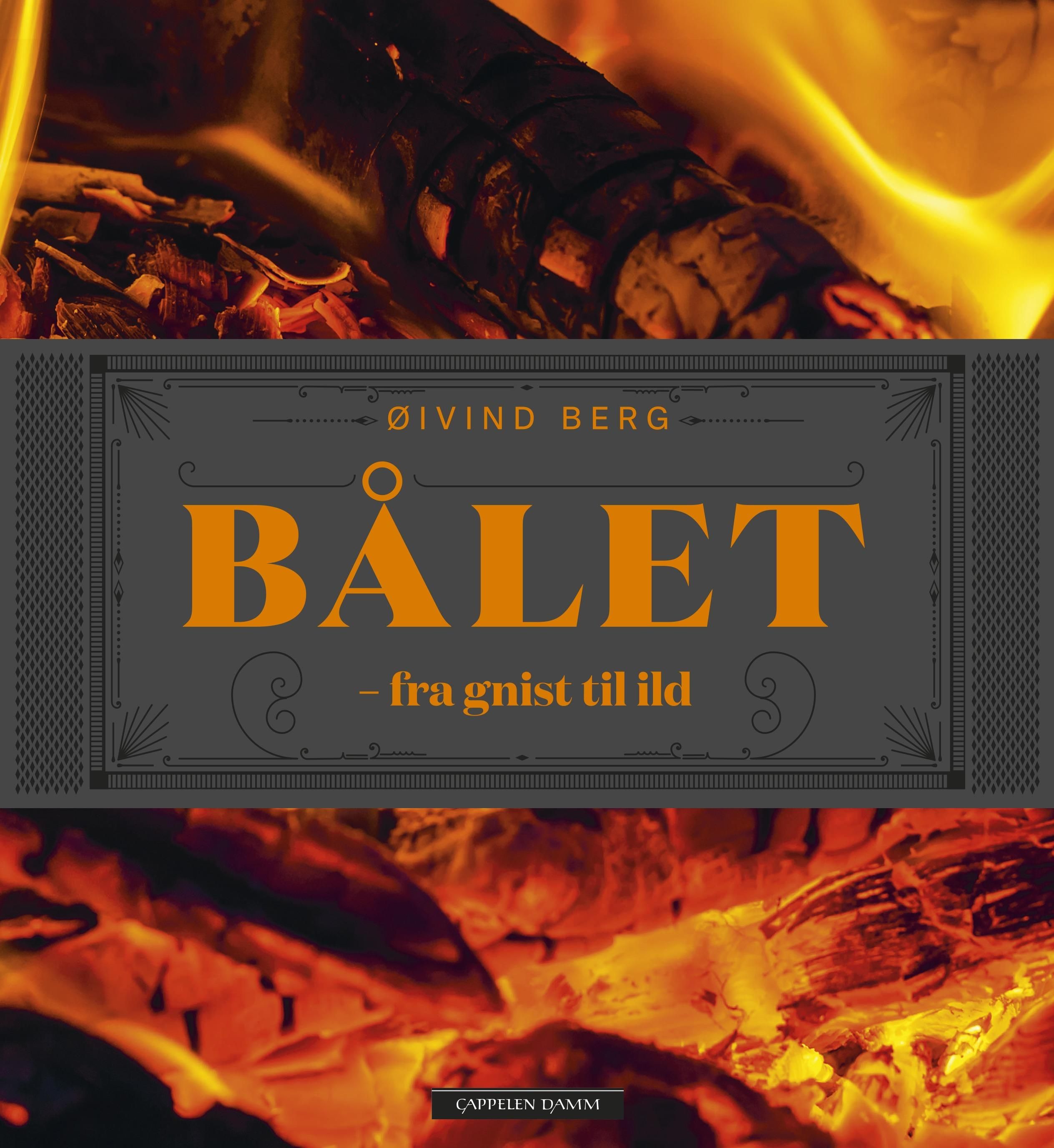Bokomslag: Bålet