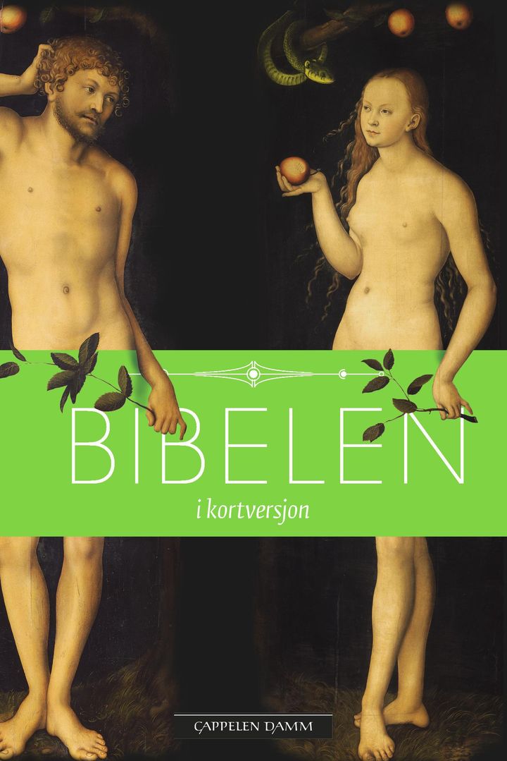 bokomslag: Bibelen i kortversjon