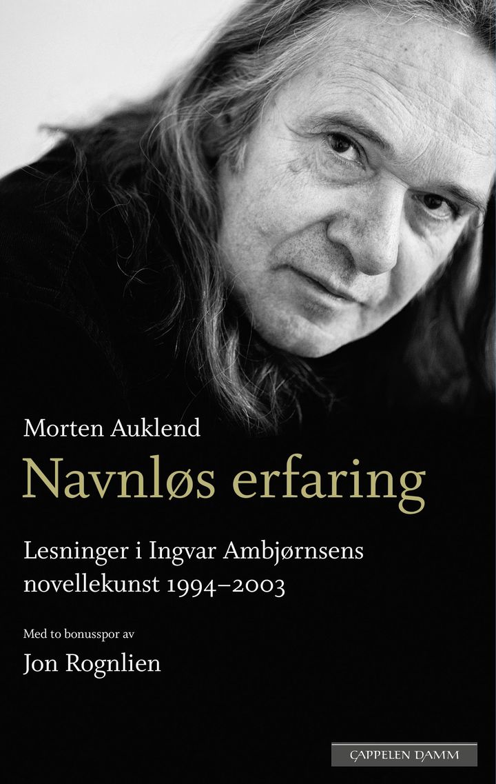 bokomslag: Navnløs erfaring : lesninger i Ingvar Ambjørnsens novellekunst 1994-2003 : med to bonusspor om forfatterskapet av Jon Rognlien