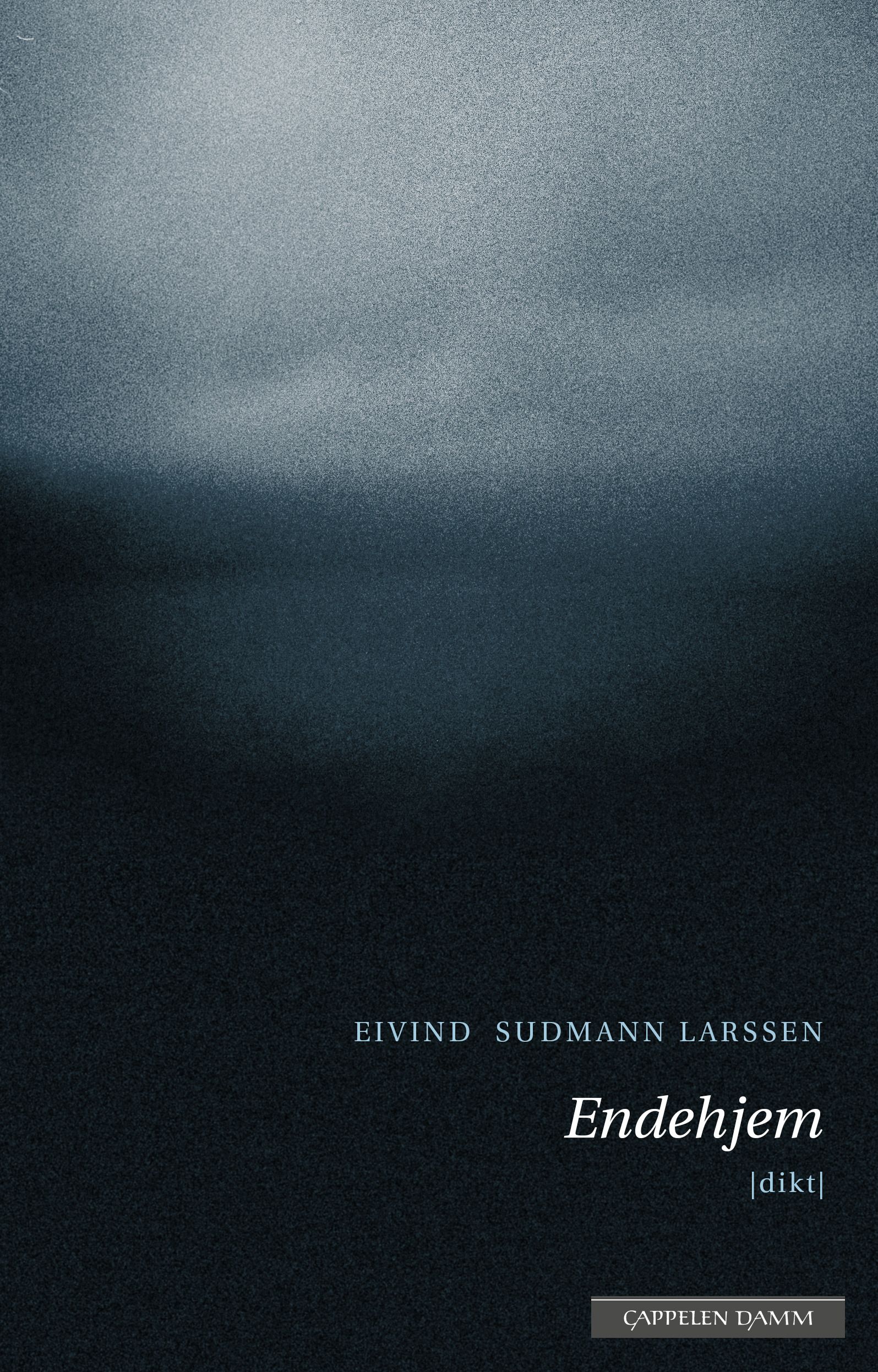 Bokomslag: Endehjem