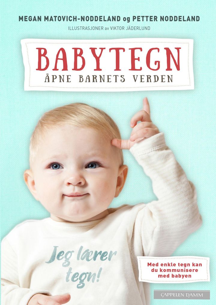 bokomslag: Babytegn : åpne barnets verden