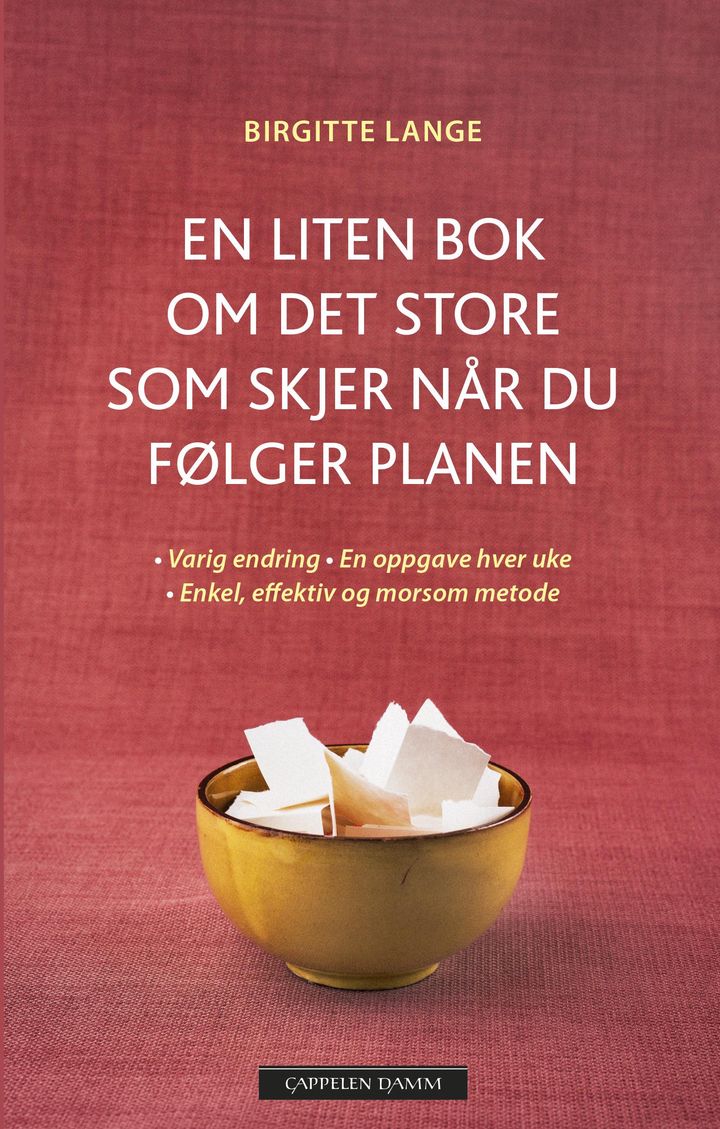 bokomslag: En liten bok om det store som skjer når du følger planen : varig endring, en oppgave hver uke, enkel, effektiv og morsom metode