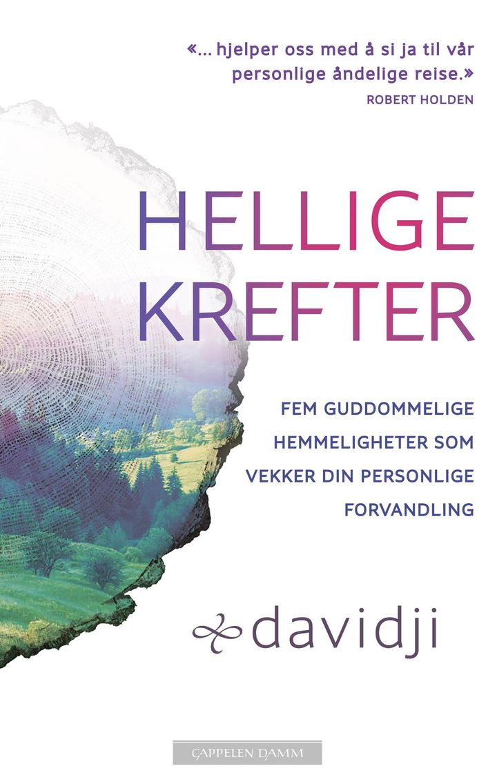 bokomslag: Hellige krefter : fem guddommelige hemmeligheter som vekker din personlige forvandling