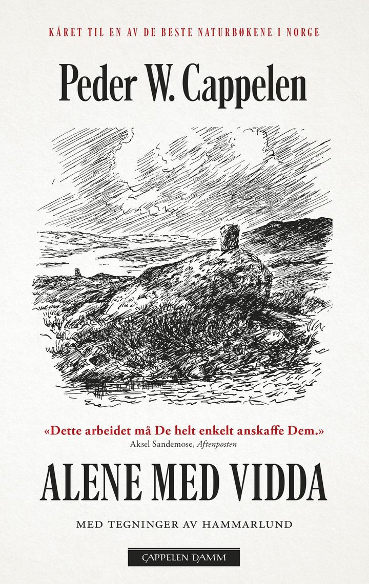 bokomslag: Alene med vidda