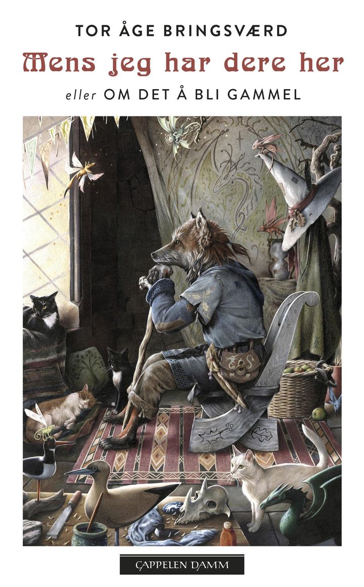 bokomslag: Mens jeg har dere her, eller Om det å bli gammel