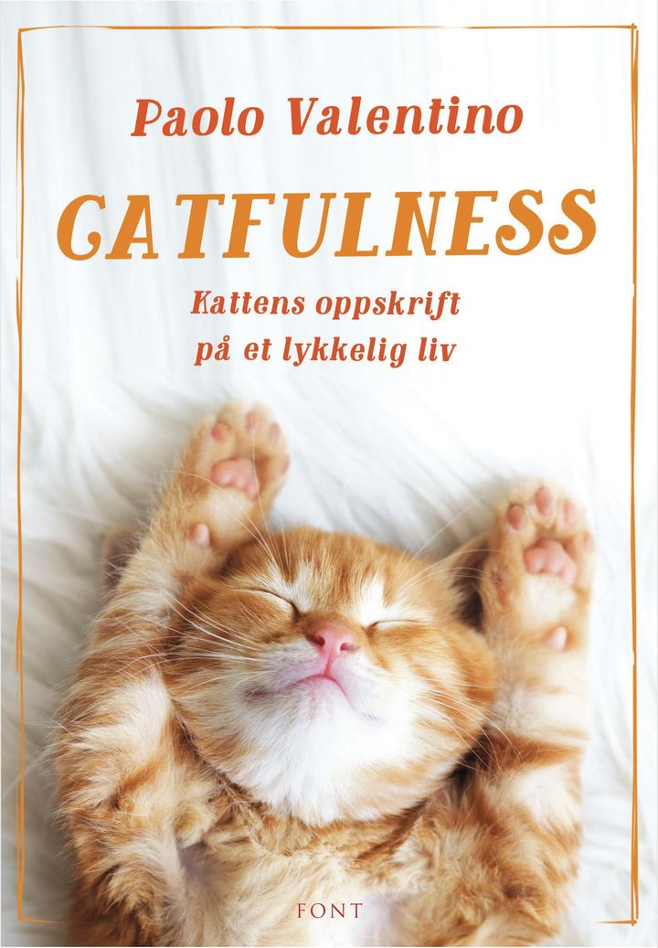 bokomslag: Catfulness : kattens oppskrift på et lykkelig liv
