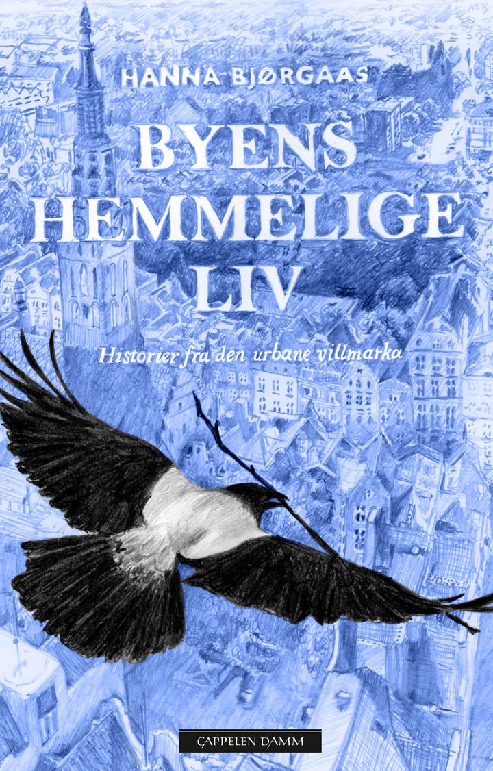 bokomslag: Byens hemmelige liv : historier fra den urbane villmarka