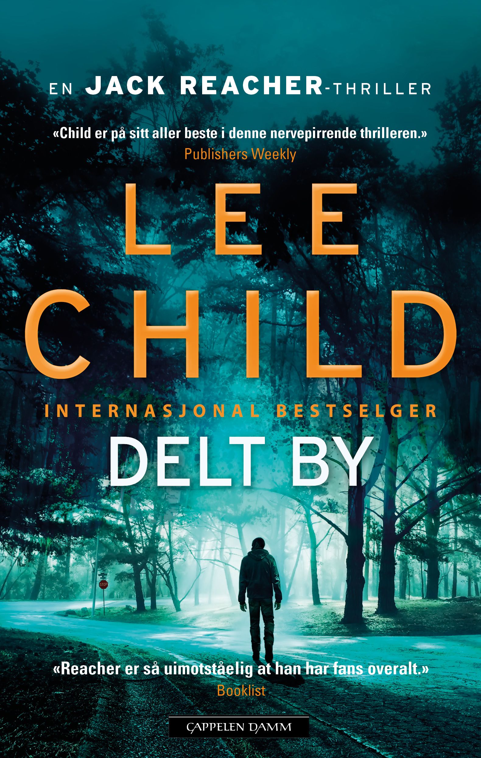 Bokomslag: Delt by