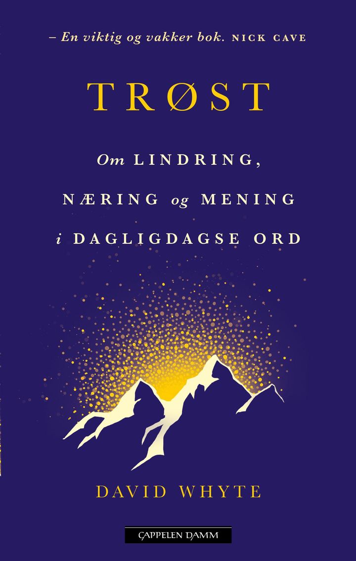 bokomslag: Trøst : om lindring, næring og mening i dagligdagse ord