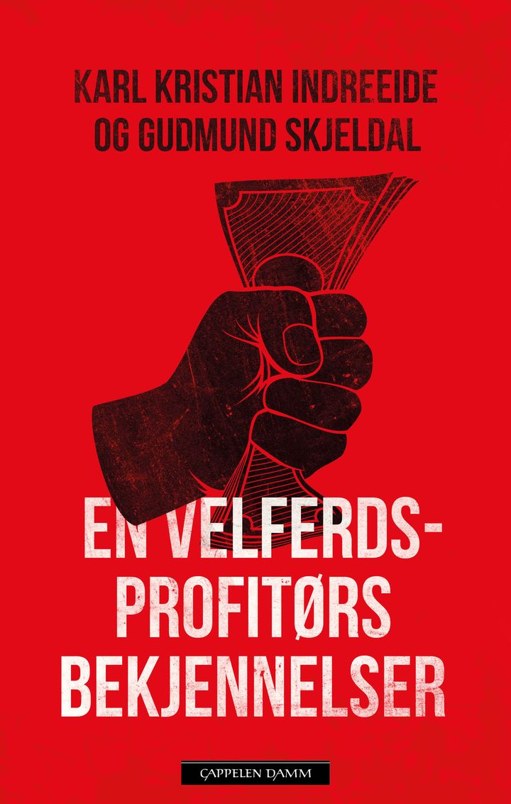 bokomslag: En velferdsprofitørs bekjennelser