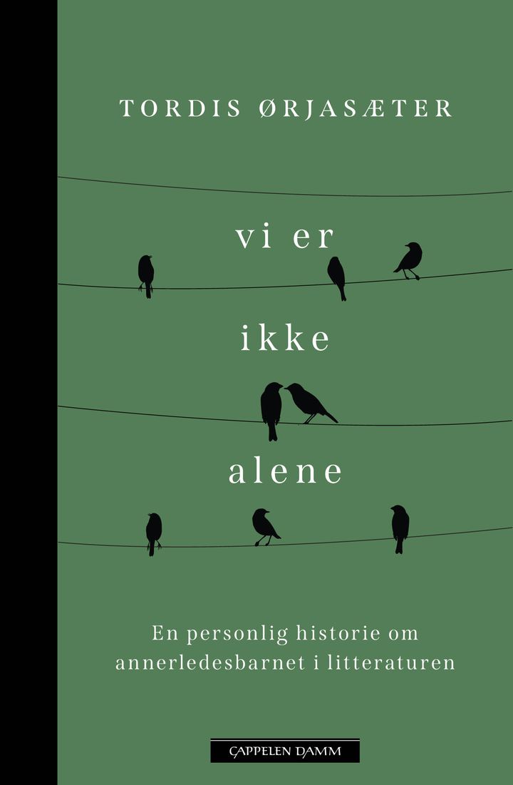 bokomslag: Vi er ikke alene : en personlig historie om annerledesbarnet i litteraturen