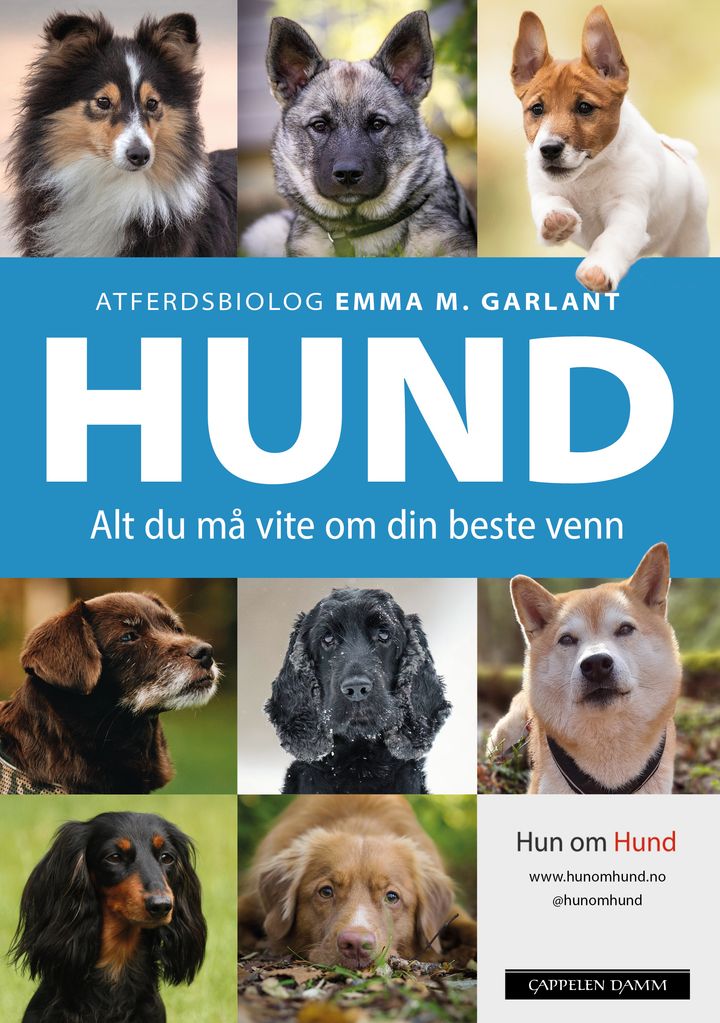bokomslag: Hund : alt du må vite om din beste venn