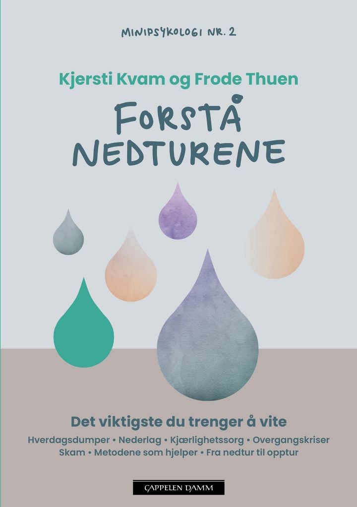 bokomslag: Forstå nedturene
