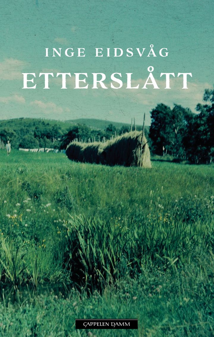 bokomslag: Etterslått