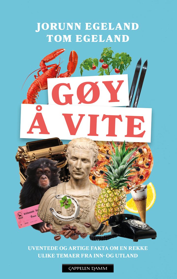 bokomslag: Gøy å vite