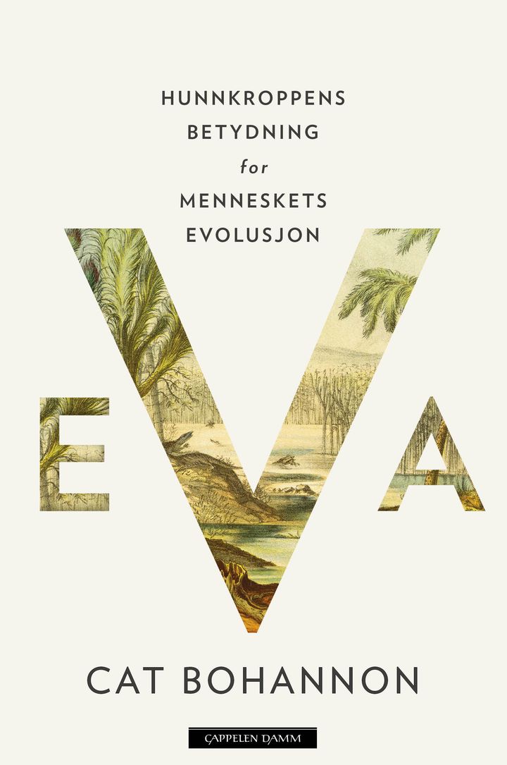 bokomslag: Eva : hunnkroppens betydning for menneskets evolusjon