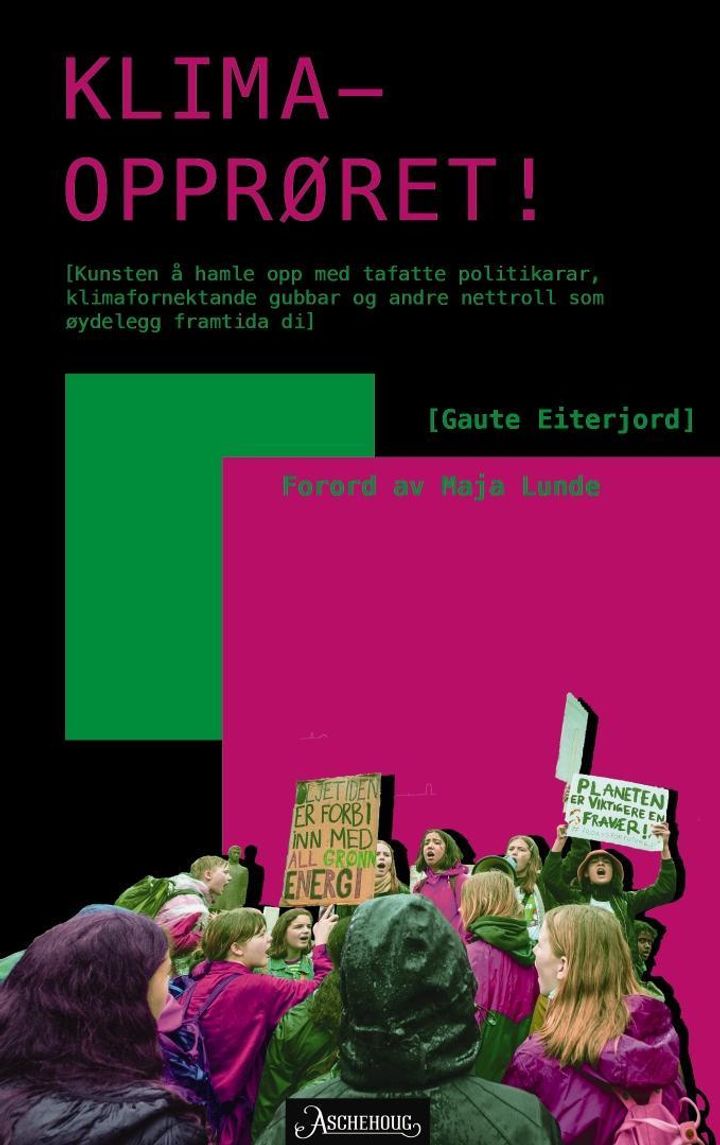bokomslag: Klimaopprøret : kunsten å hamle opp med tafatte politikarar, klimafornektande gubbar og andre nettroll som øydelegg framtida di