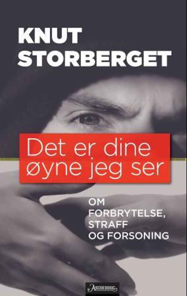 bokomslag: Det er dine øyne jeg ser : om forbrytelse, straff og forsoning