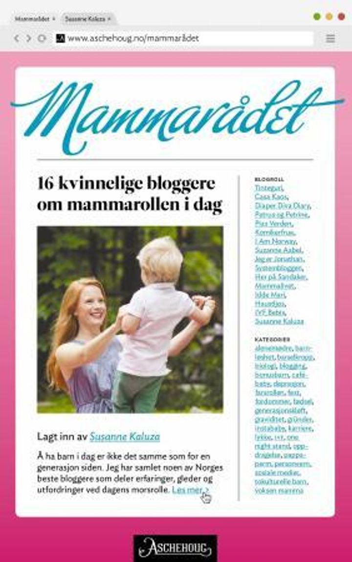 bokomslag: Mammarådet : 16 kvinnelige bloggere om mammarollen i dag