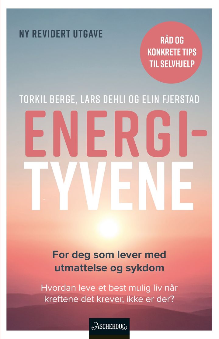 bokomslag: Energityvene : utmattelse i sykdom og hverdag