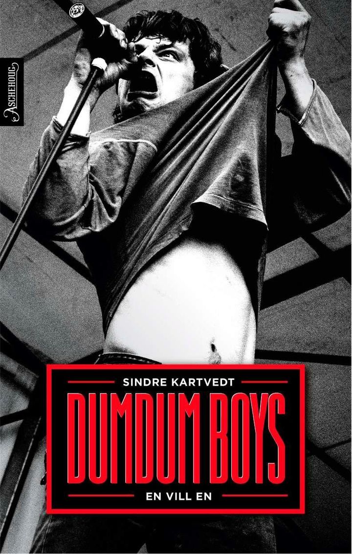 bokomslag: DumDum Boys - en vill en