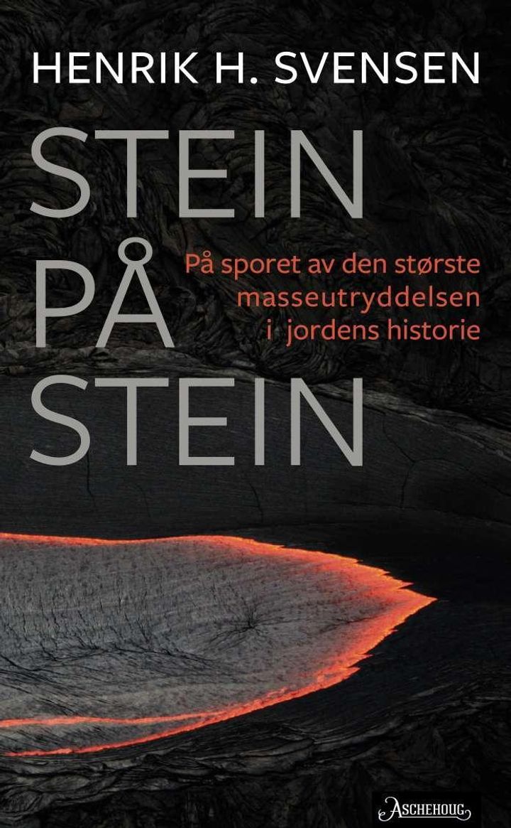 bokomslag: Stein på stein : på sporet av den største masseutryddelsen i jordens historie