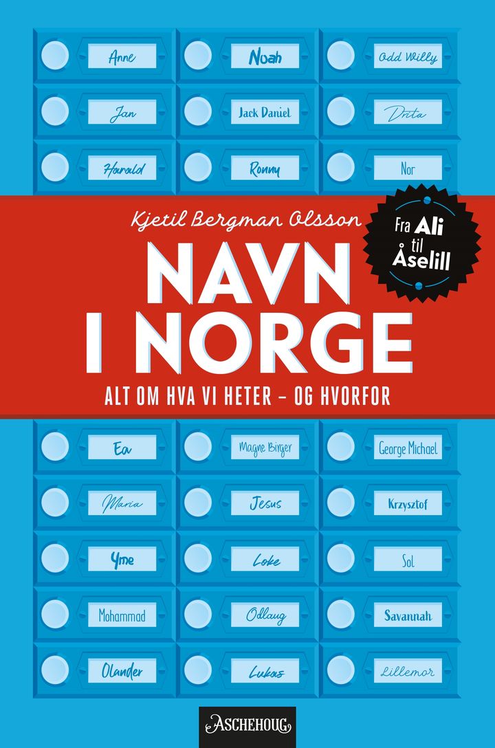 bokomslag: Navn i Norge : alt om hva vi heter - og hvorfor
