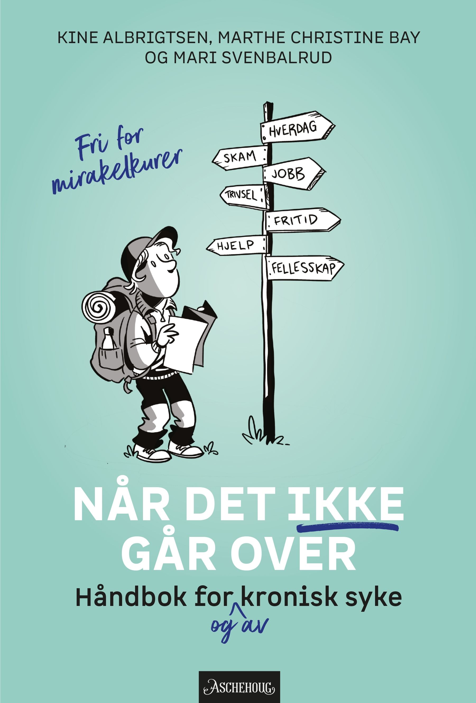 Bokomslag: Når det ikke går over