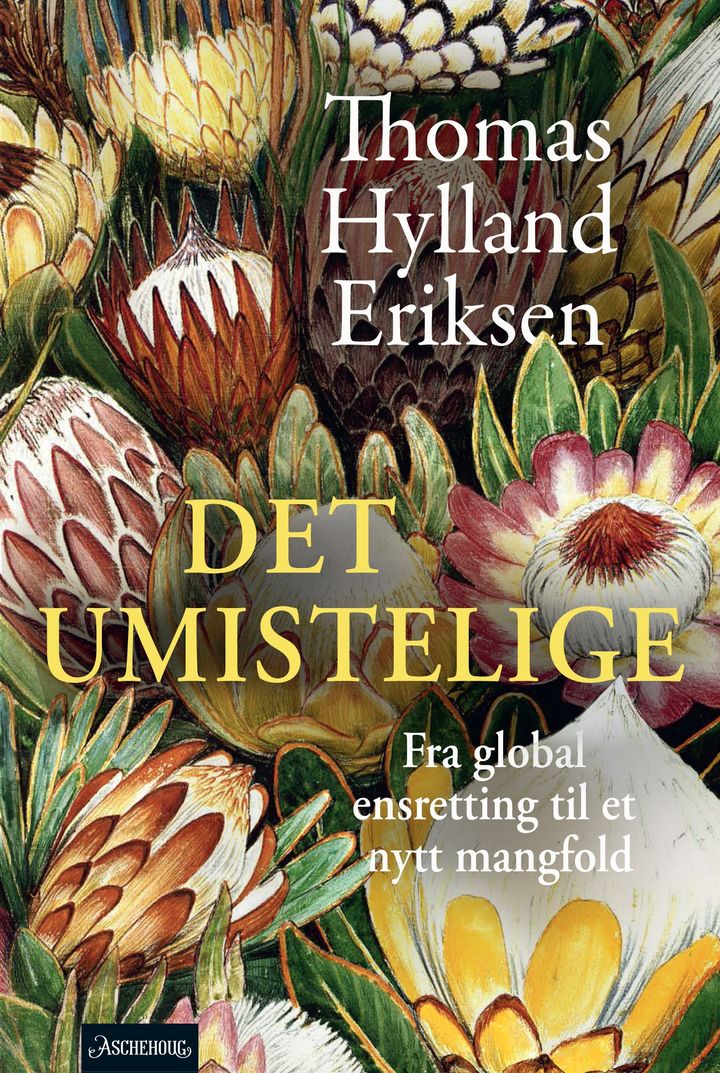 bokomslag: Det umistelige : fra global ensretting til et nytt mangfold