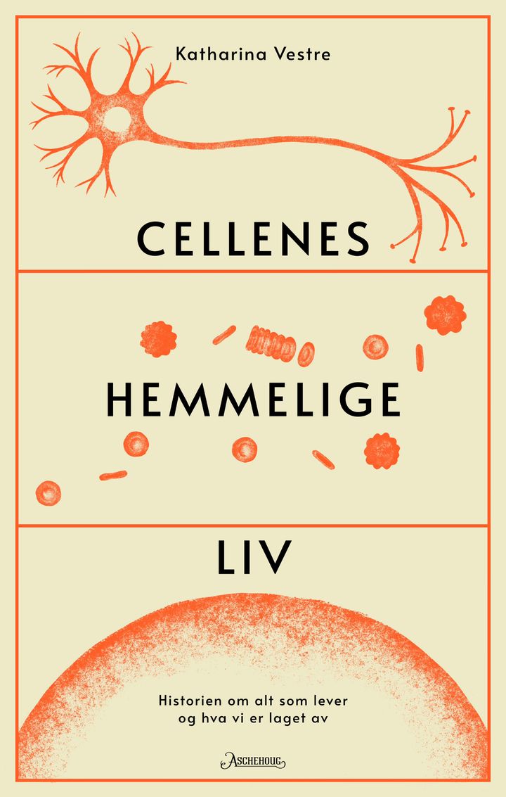 Bokomslag: Cellenes hemmelige liv : historien om alt som lever og hva vi er laget av
