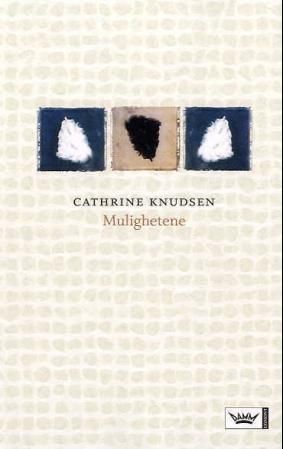 Bokomslag: Mulighetene