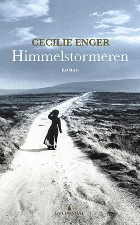 Himmelstormeren