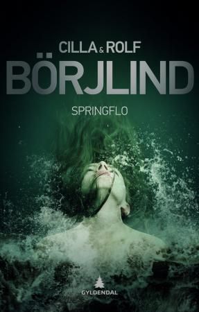 Bokomslag: Springflo
