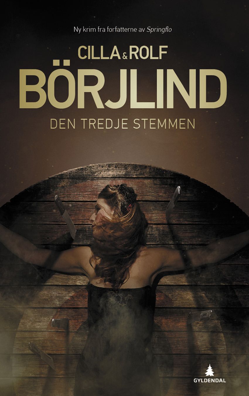 Bokomslag: Den tredje stemmen