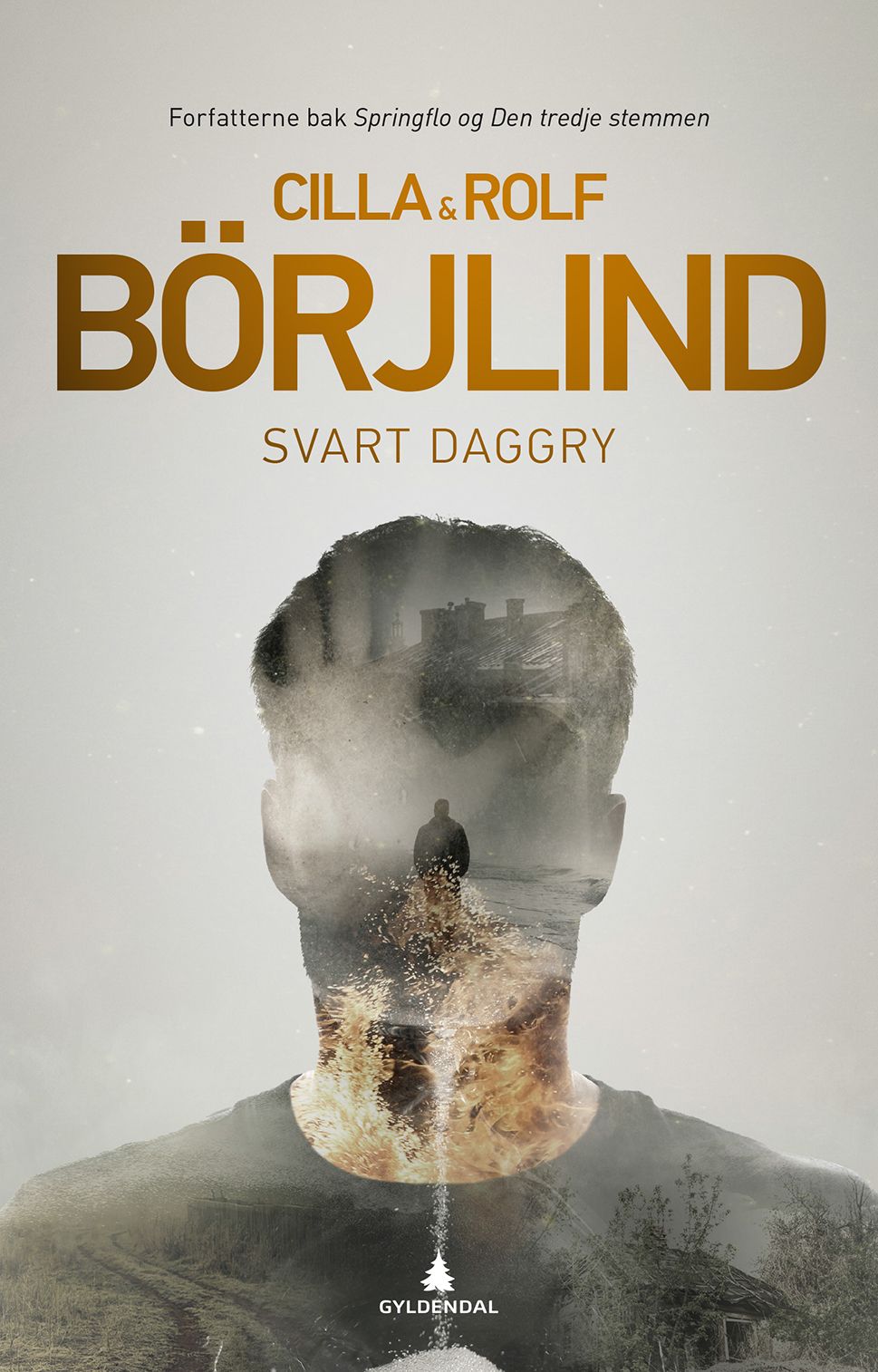 Bokomslag: Svart daggry