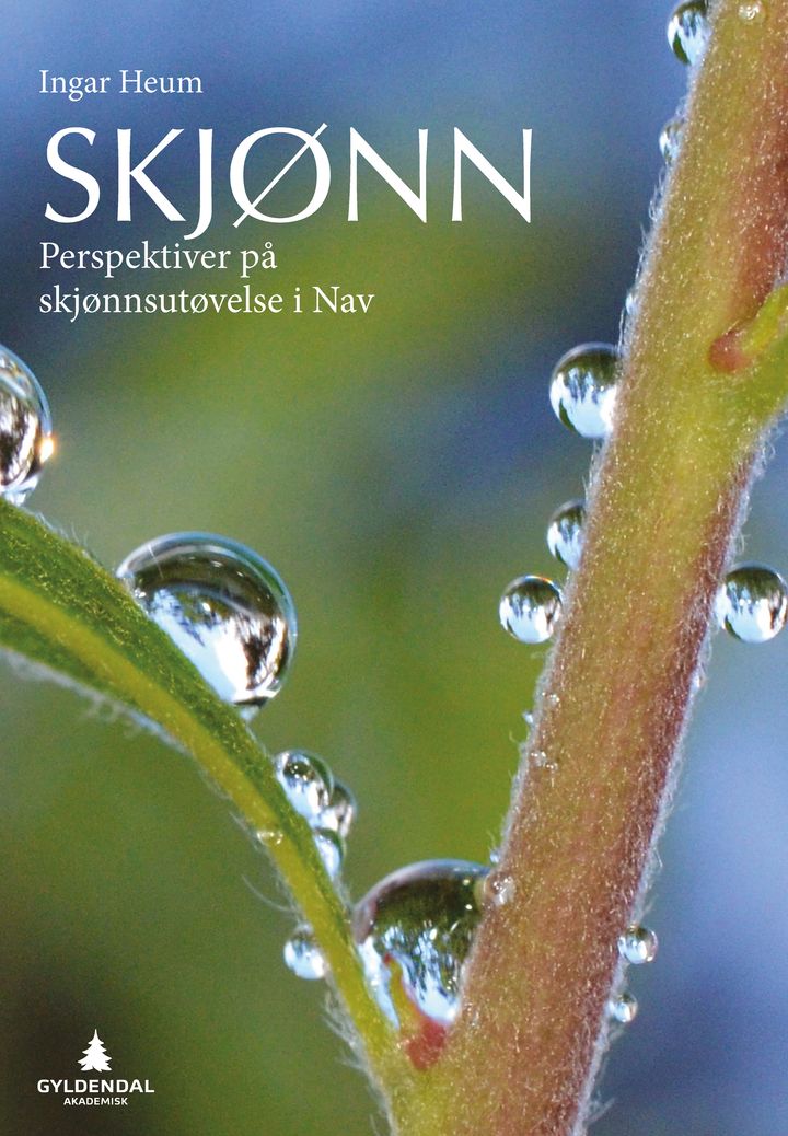 bokomslag: Skjønn : perspektiver på skjønnutøvelse i NAV