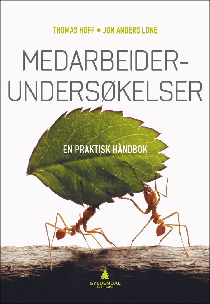 bokomslag: Medarbeiderundersøkelser : en praktisk håndbok